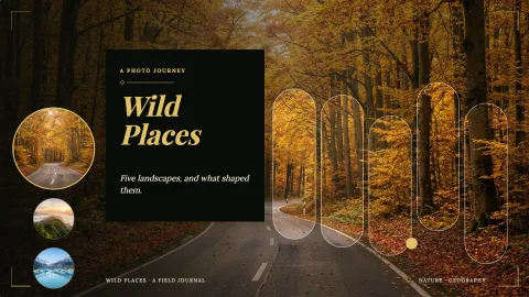 Wild Places — 1