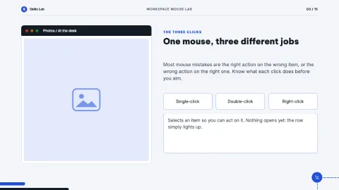 Workspace Mouse Lab — 3