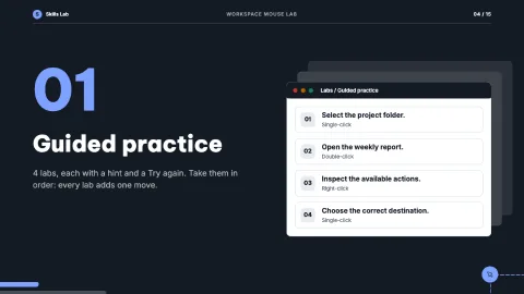 Workspace Mouse Lab — 4