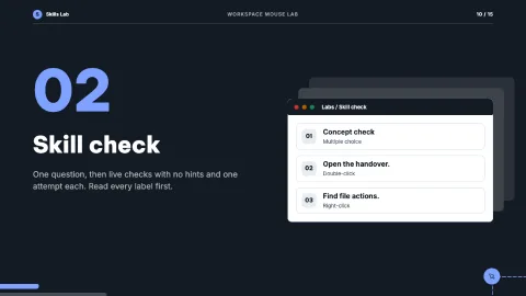 Workspace Mouse Lab — 10