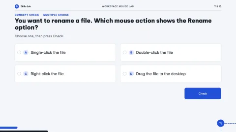 Workspace Mouse Lab — 11